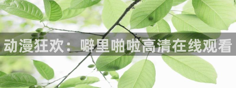 樱花动漫官网入口是哪个版本：动漫狂欢：噼里啪啦高清在线观看