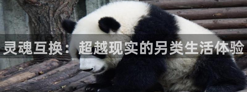 樱花动漫免费观看网站：灵魂互换：超越现实的另类生活体验