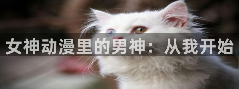 樱花动漫专注的门户网站-：女神动漫里的男神：从我开始